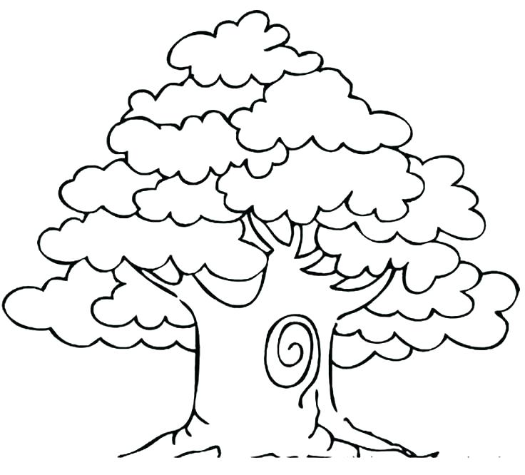 736x666 Free Coloring Pages Fall Trees Kids Coloring A Shady Oak Tree