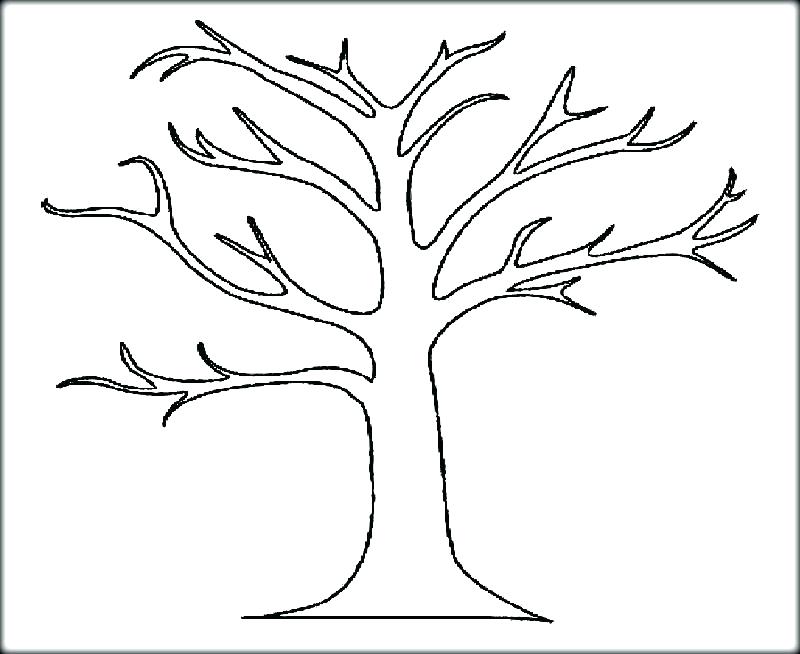 800x654 Oak Tree Coloring Page Fall Tree Coloring Pages Oak Leaf Coloring