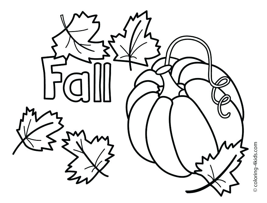 878x666 Oak Tree Coloring Page Tree Coloring Pages Oak Tree Coloring Page