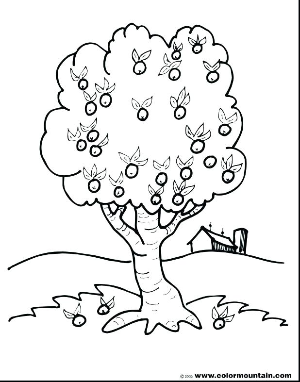 618x787 Printable Tree Coloring Pages Free Printable Tree Coloring Pages