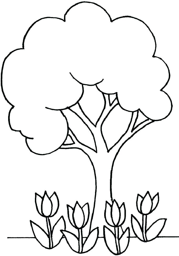 682x976 Tree Without Leaves Coloring Page Coloring Pages Of Trees Without