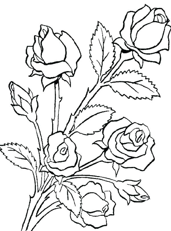 600x812 Coloring Pages Of Trees Plants And Flowers Colouring Pages Trees