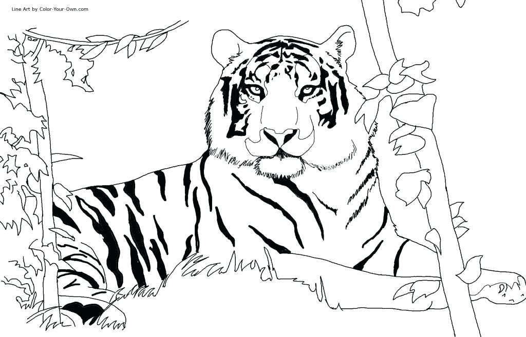 1024x657 Oakland Raiders Coloring Pages Raiders Coloring Pages Printable