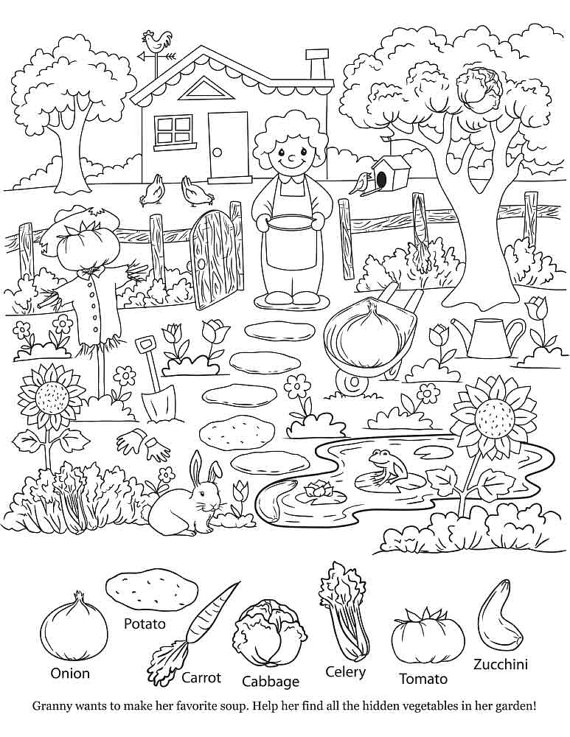 570x737 Hidden Object Pictures Printable Hidden Object Coloring Pages Kids