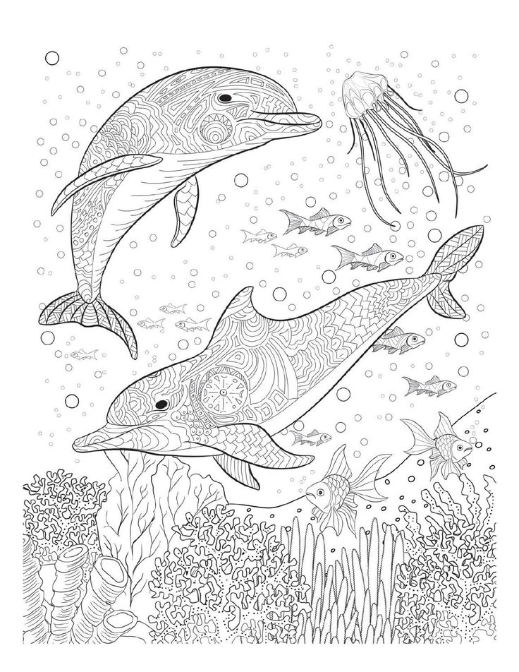 736x952 376 Best Coloring Pages To Print
