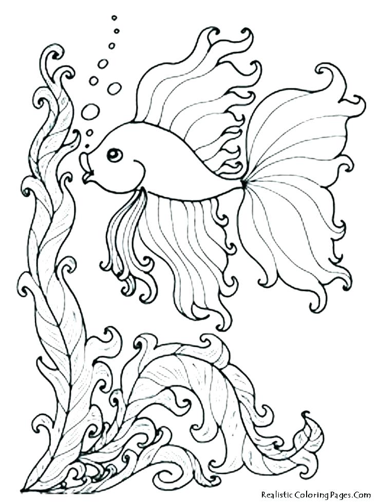 736x981 Marine Life Coloring Pages Ocean Coloring Pages Oceans Coloring