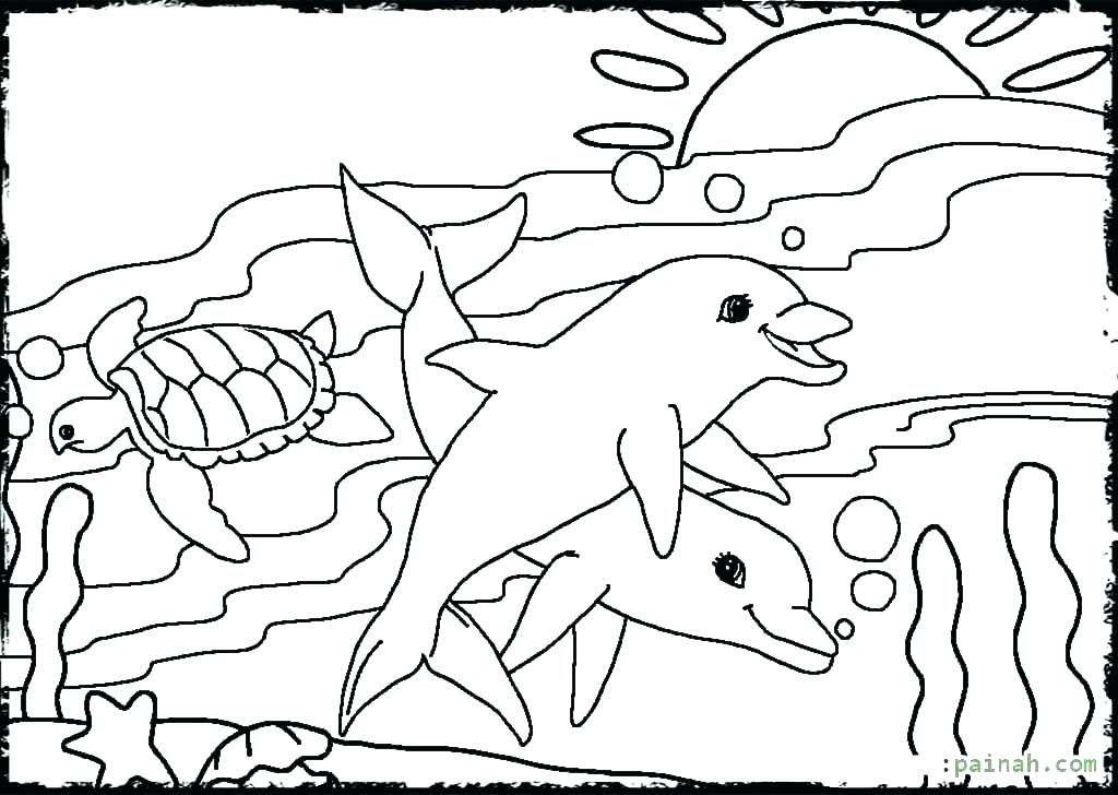 1024x728 Ocean Life Coloring Pages Marine Coloring Page Marines Pages