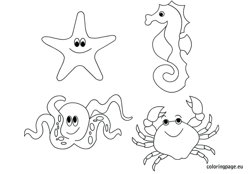 822x575 Realistic Ocean Animals Coloring Pages Printable Coloring Sea
