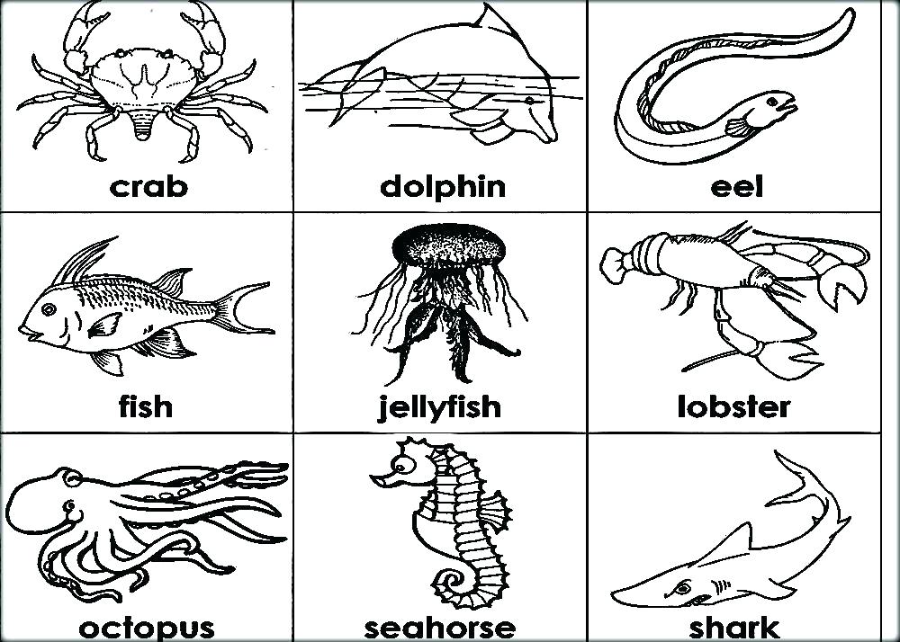 1000x714 Animal Coloring Pages For Toddlers Realistic Jungle Animals Animal