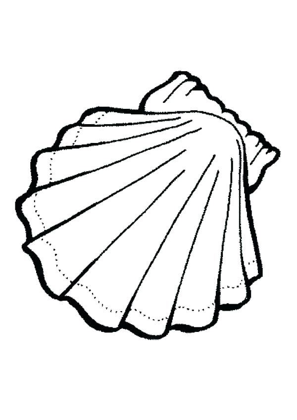 600x849 Sea Urchin Coloring Page Sea Urchin Coloring Page Coloring Pages