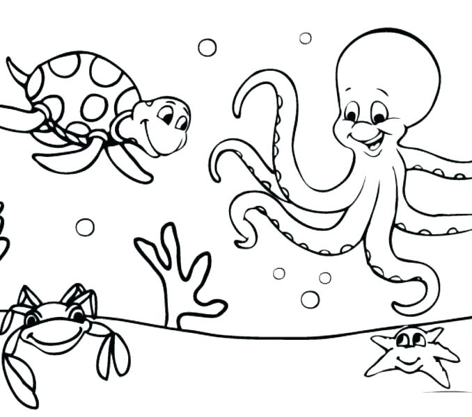 678x600 Ocean Pictures To Color