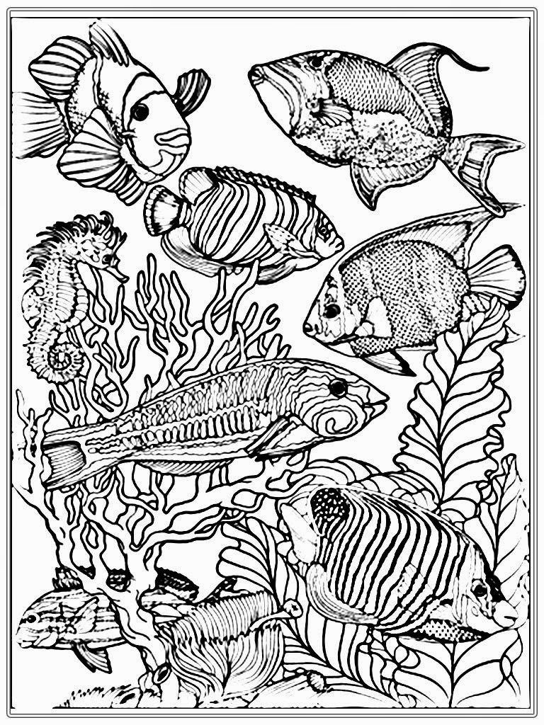 768x1024 Coloring Pages Exquisite Ocean Coloring Pages For Adults Adult