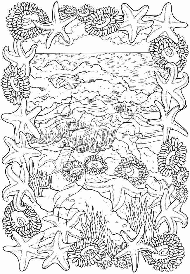 650x934 Best 25 Ocean Coloring Pages Ideas On Animals Beautiful