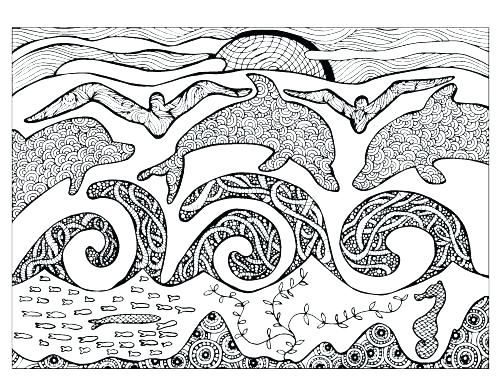 500x386 Flip Flop Coloring Page Ocean Coloring Pages For Adults Sea