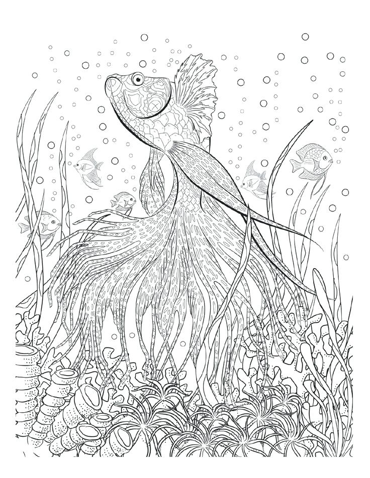 736x952 Idea Adult Coloring Page Or The World Is Your Canvas Free Adult