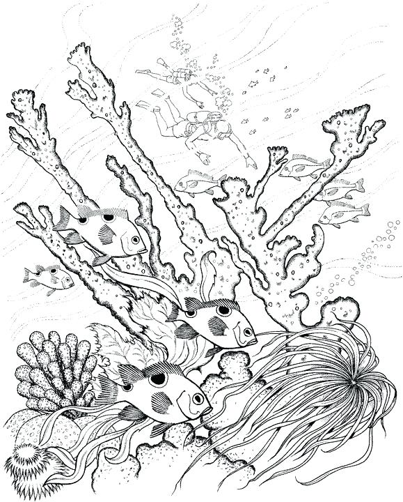 579x720 Pages To Color For Adults Adult Ocean Coloring Pages Coloring