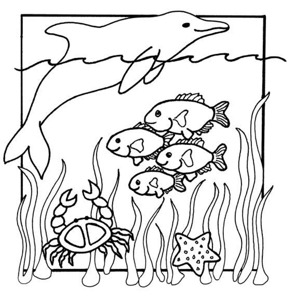 997x1007 Ocean Coloring Page Book Pages Coloringsuite Com Free 997 1007 6