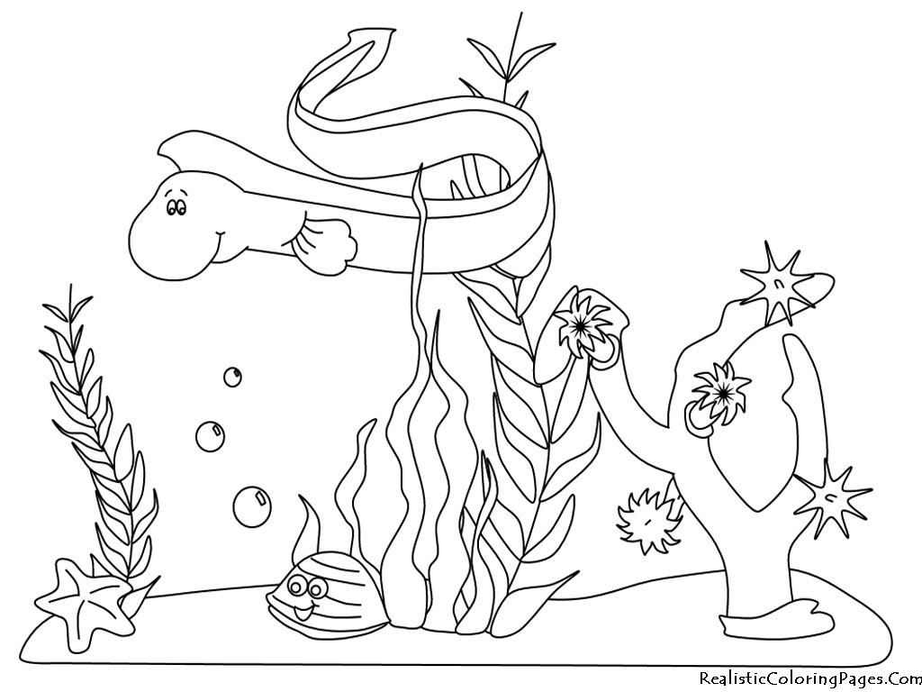 1024x768 Nice Ocean Coloring Page Free Printable Pages