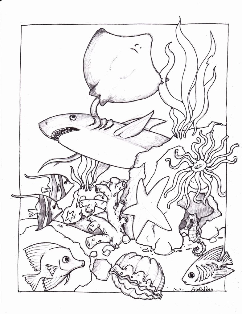 785x1018 Colouring In Printouts Inspirational Free Printable Ocean Coloring