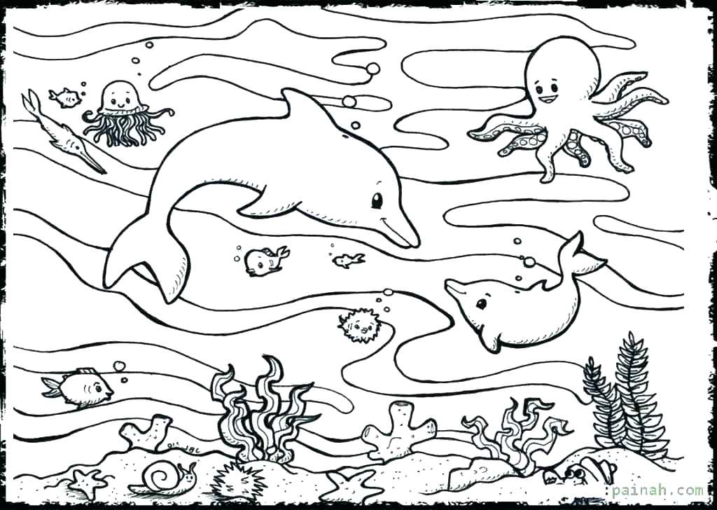 1024x728 Ocean Creatures Coloring Pages Ocean Life Coloring Pages Sea