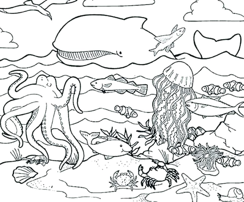 963x799 Ocean Life Coloring Pages Sea Life Coloring Pages Fancy Sea Life