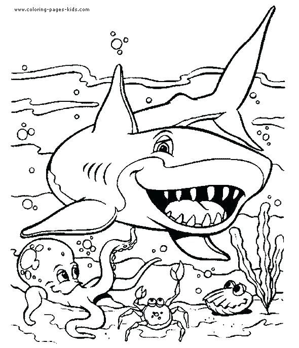 590x687 Marine Coloring Page Ocean Creatures Coloring Pages Blue Shark