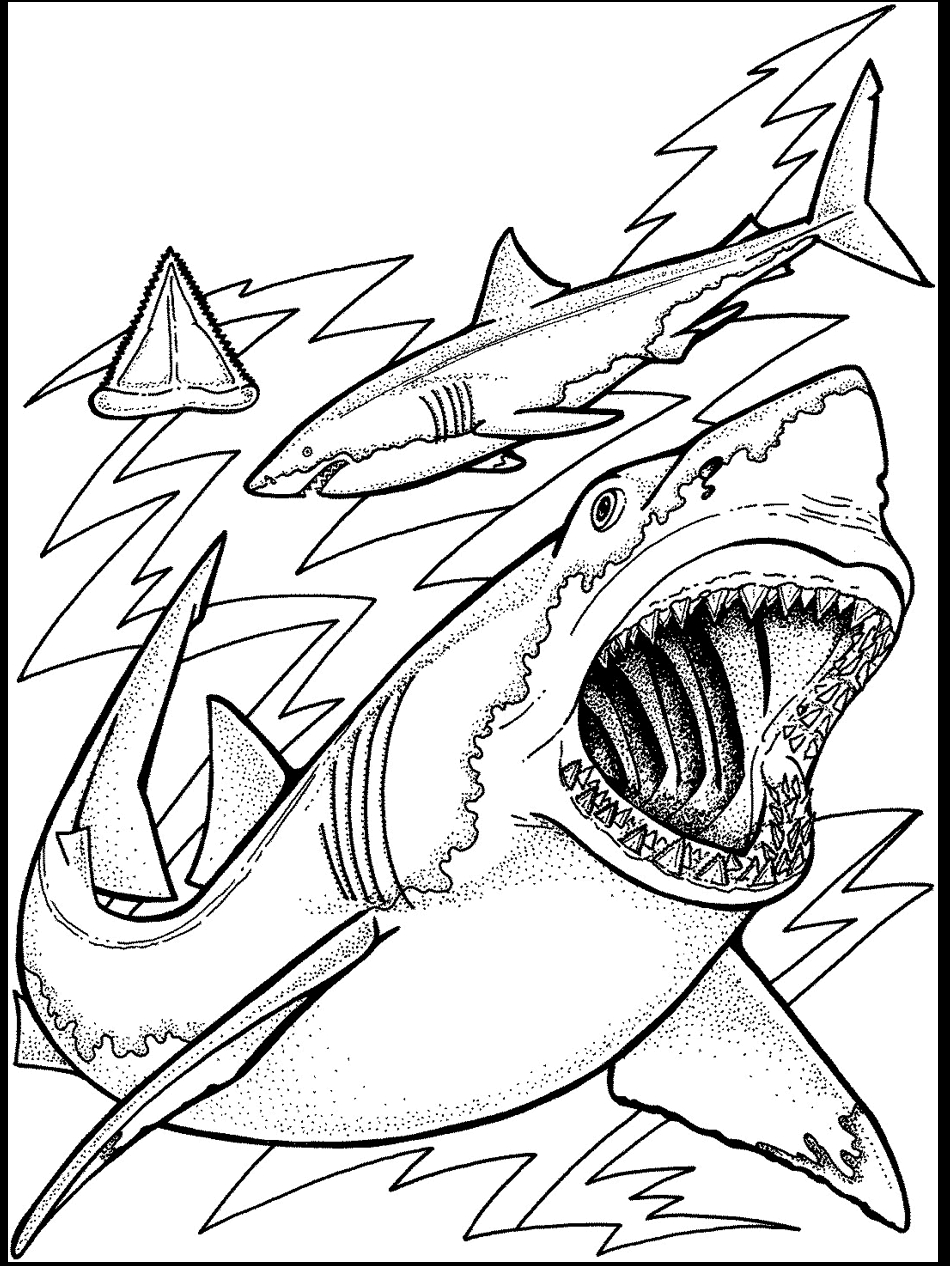 950x1266 Ocean Fish Coloring Pages 3
