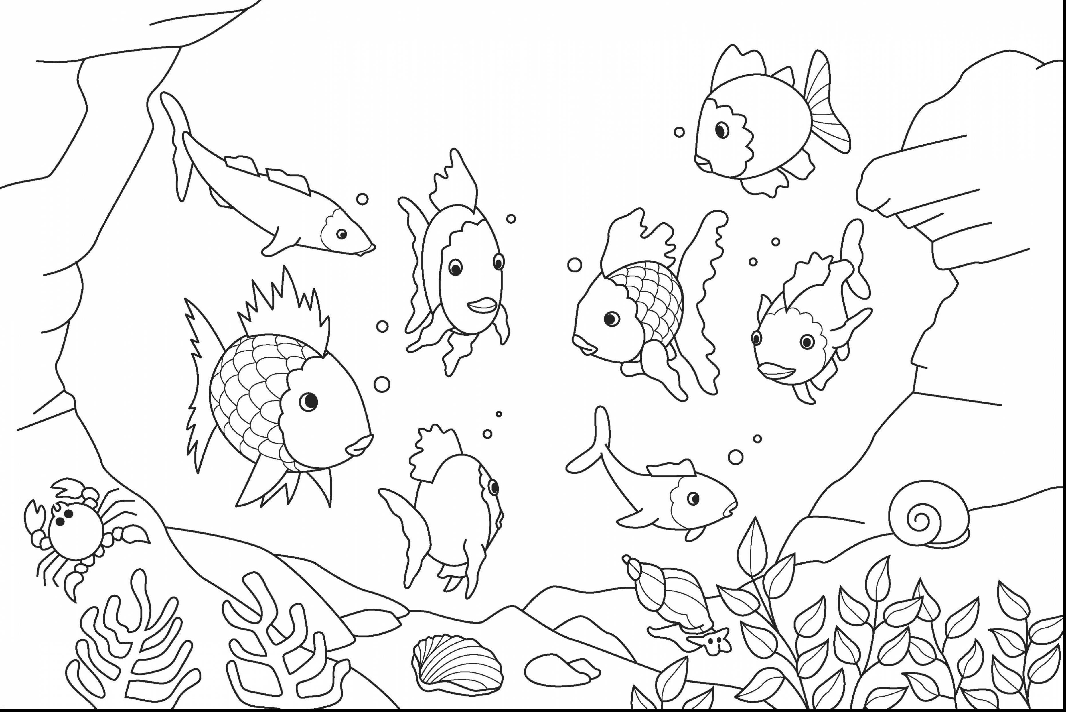3724x2486 Ocean Fish Coloring Pages 5 582 And Page