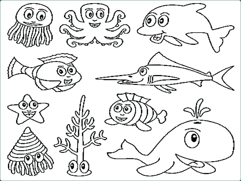 840x630 Ocean Fish Coloring Pages Ocean Fish Coloring Pages Ocean Life