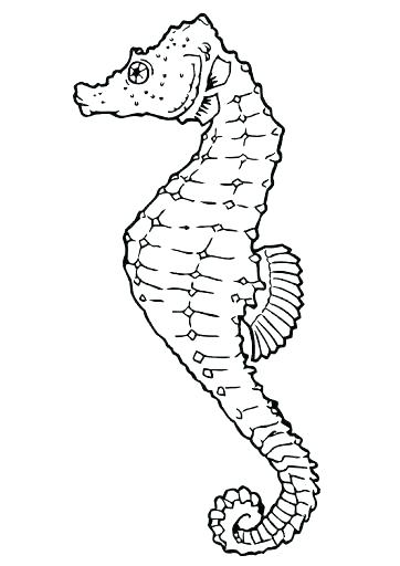 362x512 Ocean Fish Coloring Pages Tropical Fish Colori Pages Ocean Fish