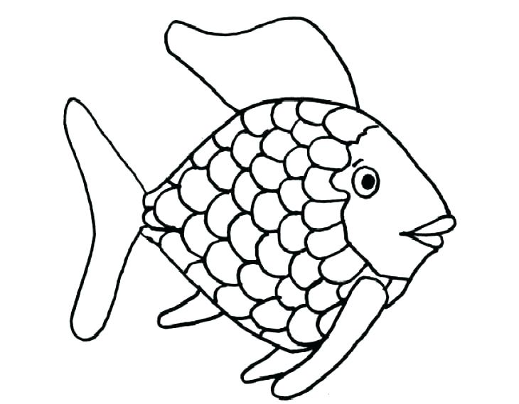 730x569 Ocean Fish Coloring Pages Tropical Fish Coloring Pages Rainbow