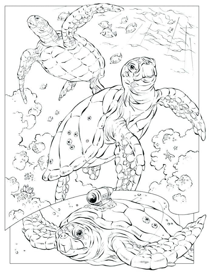 695x900 Ocean Floor Coloring Pages Amazing Ocean Floor Coloring Pages