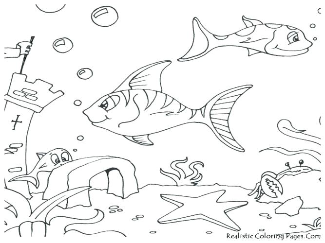 667x500 Ocean Floor Coloring Pages Medium Size Of Ocean Coloring Pages