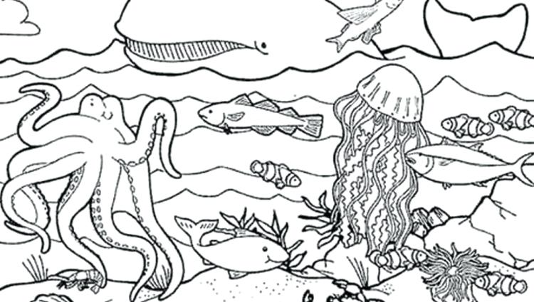 750x425 Ocean Habitat Coloring Pages Ocean Floor Coloring Pages Download