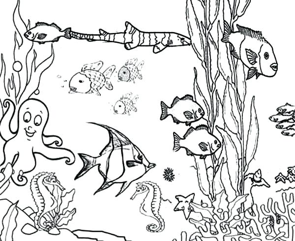 600x490 Printable Ocean Pictures Ocean Life Coloring Pages Best Sea