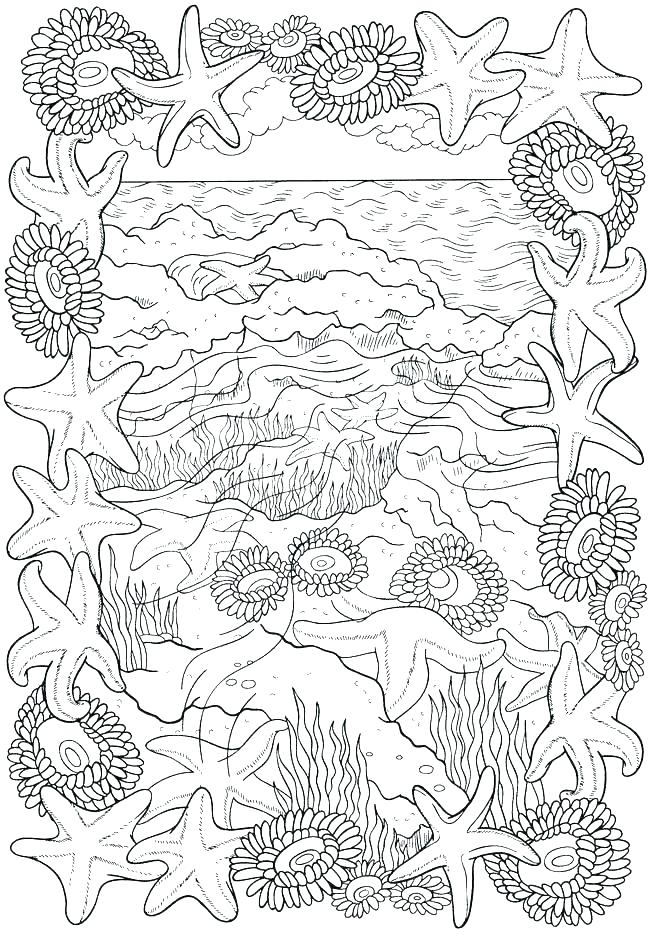650x934 Marine Coloring Page
