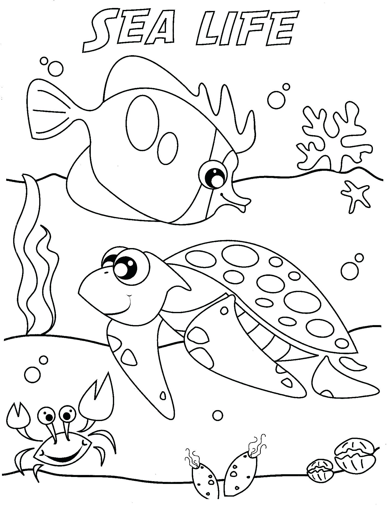1572x2064 Coloring Pages Of The Ocean Floor Fresh Coloring Pages Ocean