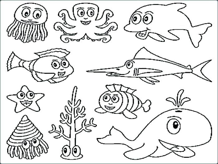 700x525 Ocean Animal Coloring Pages