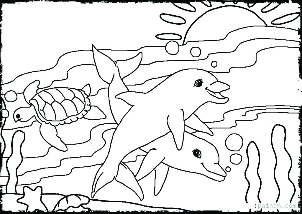 1024x728 Marine Life Coloring Pages Realistic Sea Animals Coloring Pages