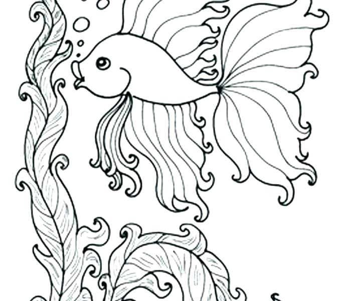 678x600 Underwater Coloring Pages This Is Underwater Coloring Pages Images