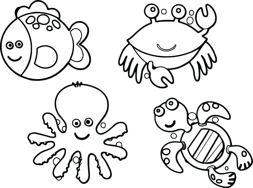 878x651 Ocean Life Coloring Pages Marine Coloring Page Marines Pages