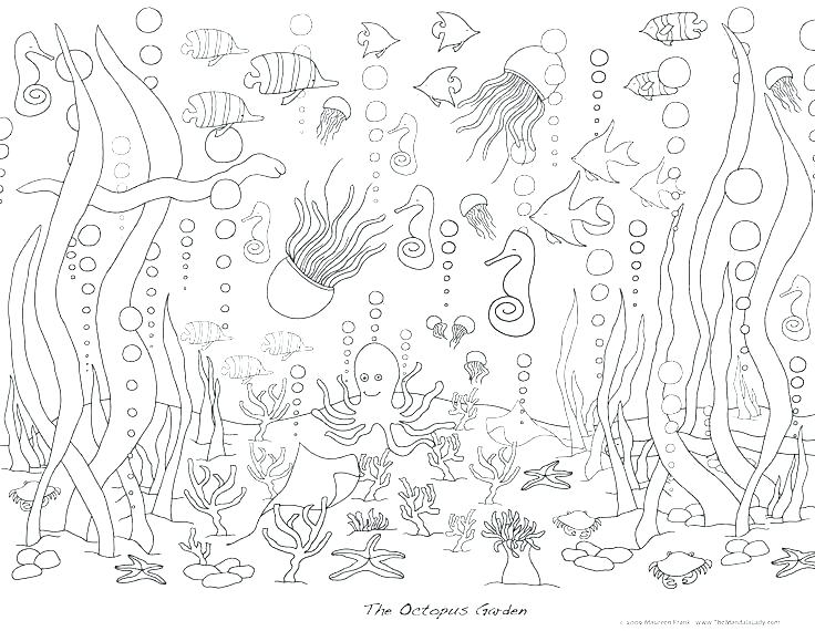 736x570 Ocean Life Coloring Pages Ocean Life Coloring Pages Ocean Life