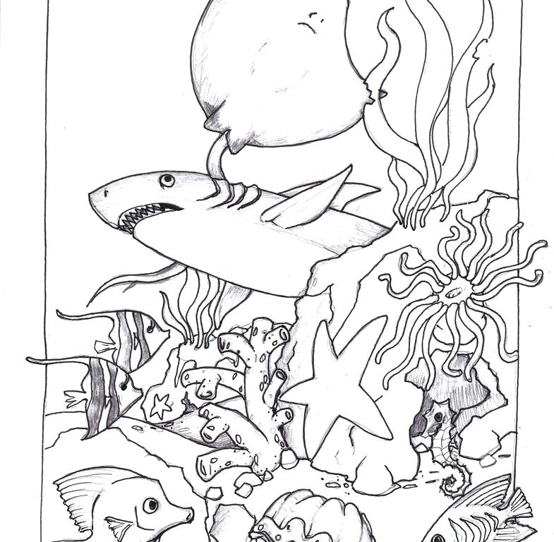 785x768 Ocean Life Coloring Pages Printable Amazing Ocean Habitat Coloring