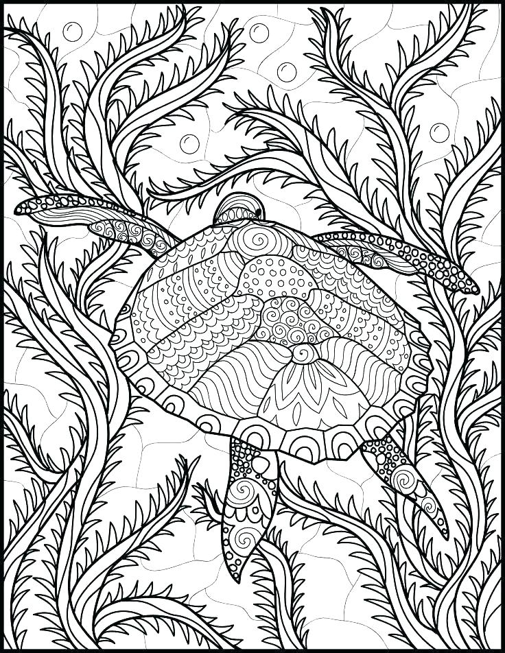 736x952 Ocean Sea Life Coloring Pages Ocean Life Coloring Pages Free