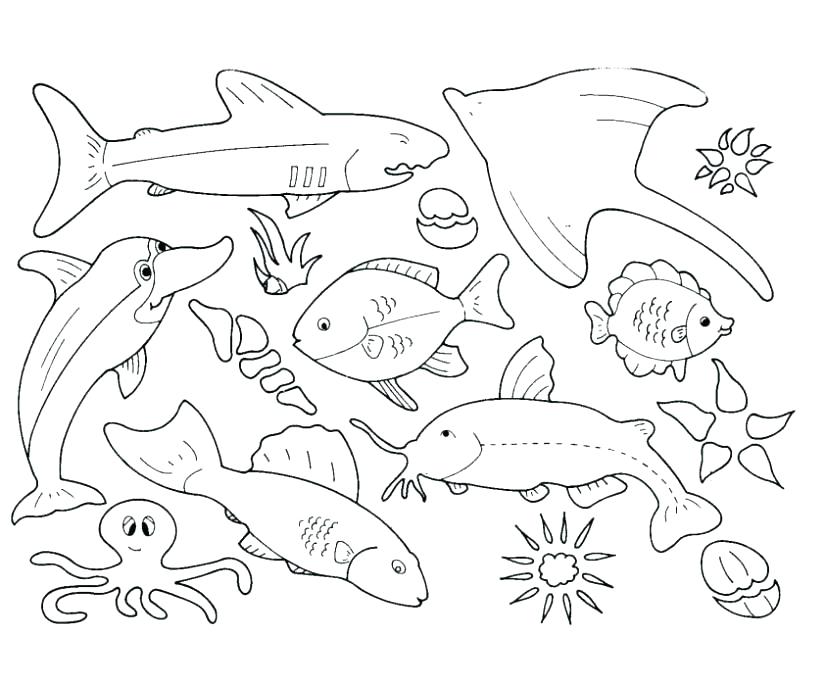 825x686 Coloring Pictures Of Marine Animals New Ocean Pages For Kids