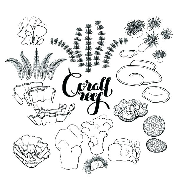 618x618 Plants Coloring Page Plants Coloring Page Print World Plants Vs