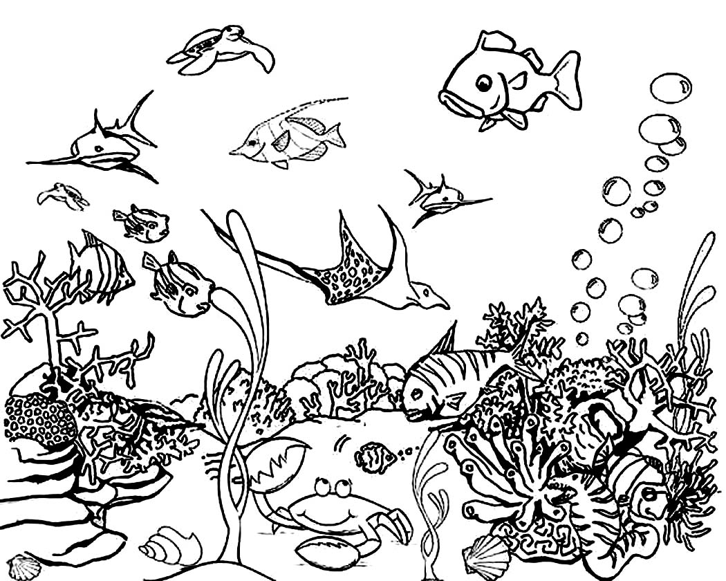 1050x840 Printable Ocean Plants Coloring Pages