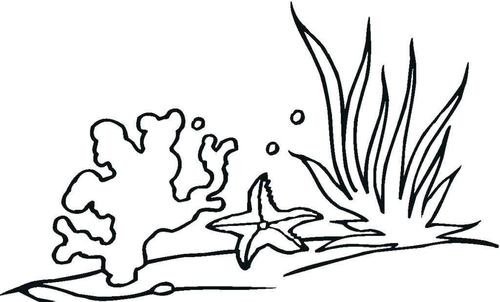 1024x620 Coloring Seaweed Coloring Pages Ocean Plants Snap Free Pictures