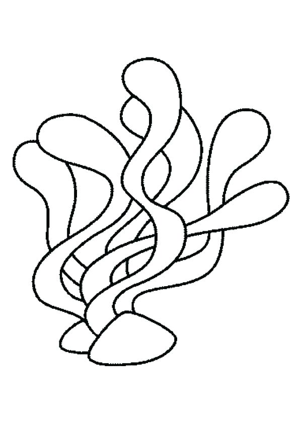 600x849 Sea Life Coloring Pages