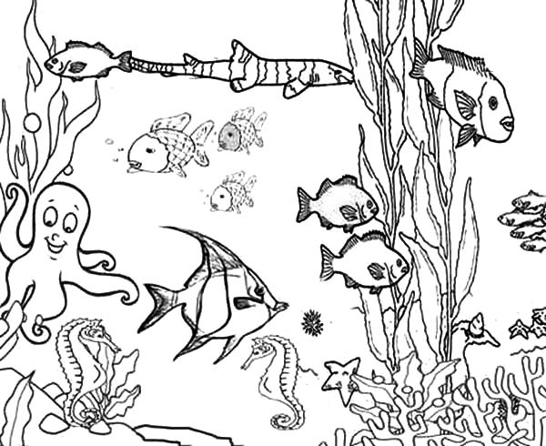 600x490 Free Printable Ocean Coloring Pages Free Coloring Pages Of Ocean
